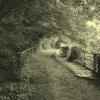 LANNTRAINPLESTINpasserelle-st-efflam